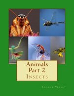 Animals Part 2: Insects