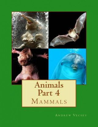 Animals Part 4: Mammals
