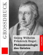 Phänomenologie des Geistes (Großdruck)