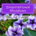 Inspirational Meadows