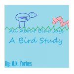 All About Blue Jay: A Bird Study