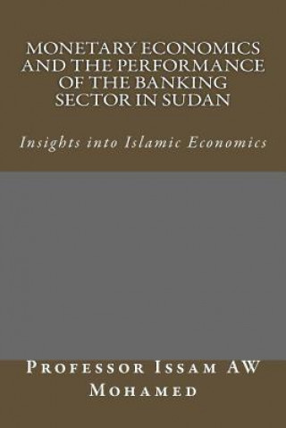 Monetary Economics and the Performance of the Banking Sector in Sudan
