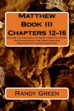 Matthew Book III: Chapters 12-16: Volume 7 of Heavenly Citizens in Earthly Shoes, An Exposition of the Scriptures for Disciples and Youn
