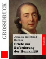 Briefe zur Beförderung der Humanität (Großdruck)