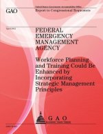 Federal Emergency Management Agency: Workforce Planning and Training Could Be Enhanced by Incorperating Strategic Management Principles