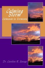 Calming Storm // Calmando la Tormenta