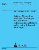 Aviation Security: Actions Needed to Address Challenges and Potential Vulnerabilities Related to Securing Inbound Air Cargo