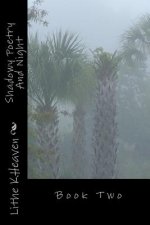 Shadowy Poetry And Night: Book Two