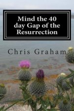 Mind the 40 day Gap of the Resurrection: Jesus was on the earth for 40 days following the resurrection, why doesn the church say more about this? Just
