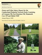 Ozone and Foliar Injury Report for the Cumberland Piedmont Network Parks Consisting of Cowpens NB, Fort Donelson NB, Mammoth Cave NP and Shiloh NMP