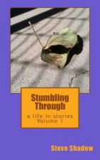 Stumbling Through: a life in stories