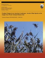 Forging Changes in an American Landscape: Invasive Plant Species at the Saugus Iron Works National Historic Site