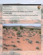 Variance and Power for Trend Assessment of Pilot Data: Integrated Upland Monitoring, Canyonlands National Park