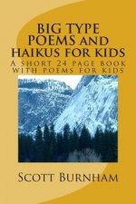 BIG TYPE POEMS and haikus for kids: A short 25 page book with poems for kids