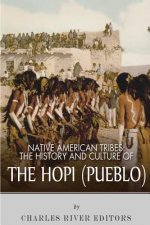 Native American Tribes: The History and Culture of the Hopi (Pueblo)
