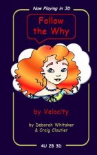 Follow the Why: by Velocity