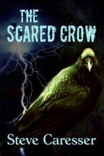 The Scared Crow
