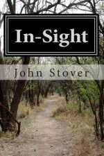 In-Sight: A Dysfunctional Time Traveling Tale