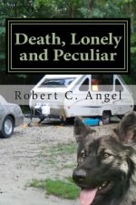 Death, Lonely and Peculiar: A Dr. Ray Raether South Carolina Travel Mystery