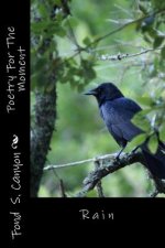 Poetry For The Moment: Rain