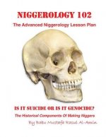 Niggerology 102 (The Advanced Niggerology Lesson Plan): Is It Suicide Or Is It Genocide?