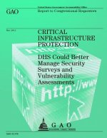 Critical Infrastructure Protection: DHS Could Better Manage Security Surveys and Vulnerability Assessments