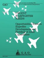 Urgent Warfighter Needs: Opportunities Exist to Expedite Development and Fielding of Joint Capabilities