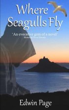 Where Seagulls Fly (2013 Edition)