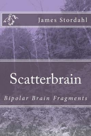 ScatterBrain: Bipolar Brain Fragments