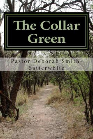 The Collar Green: Envy... The Enemy In Ministry
