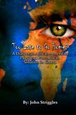 Too Late to Go Home?: A Diasporan African-American Pursues A Pan-African Solution in Ghana