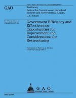 Government Efficiency and Effectiveness: Opportunities for Improvements and Considerations for Restructuring
