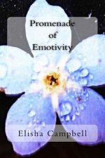 Promenade of Emotivity