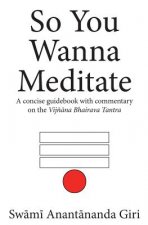 So You Wanna Meditate: A concise guidebook with commentary on the Vijnana Bhairava Tantra