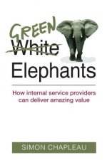 Green Elephants: How internal service providers can deliver amazing value