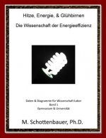 Hitze, Energie, & Glühbirnen: Die Wissenschaft der Energieeffizienz: Daten & Diagramme für Wissenschaft Labor: Band 1