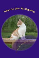 Yellow Cat Tales: The Beginning
