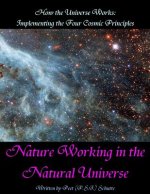 How the Universe Works: Implementing the four cosmic principles: Nature Working in the Natural Universe