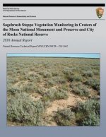 Sagebrush Steppe Vegetation Monitoring in Craters of the Moon National Monument and Preserve and City of Rocks National Reserve 2010 Annual Report