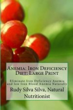 Anemia: Iron Deficiency Diet: Large Print: Quick and Easy Diet Cures For Anemia