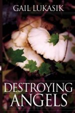 Destroying Angels: A Leigh Girard Mystery