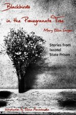 Blackbirds in the Pomegranate Tree: Stories from Ixcotel State Prison