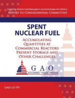 Spent Nuclear Fuel: Accumulating Quantities at Commercial Reactors Present Storage and Other Challenges