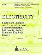Electricity: Significant Changes Are Expected in Coal Fueled Generation but Coal is Likely to Remain a Key Fuel Source