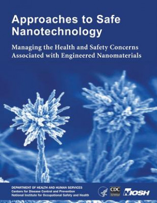Approaches to Safe Nanotechnology: Managing the Health and Safety Concerns Associated with Engineered Nanomaterials
