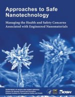 Approaches to Safe Nanotechnology: Managing the Health and Safety Concerns Associated with Engineered Nanomaterials