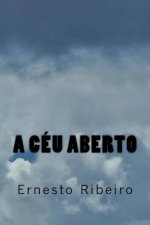 A Céu Aberto: Poesia sem asas