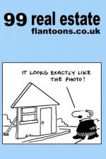 99 real estate flantoons.co.uk: 99 great and funny cartoons about property