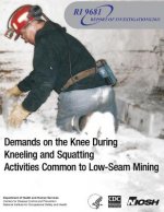 Demands on the Knee During Kneeling and Squatting Activities Common to Low-Seam Mining