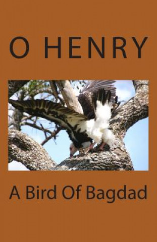 A Bird Of Bagdad